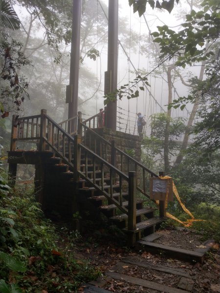 搭阿里山森鐵去登獨立山(小百岳#58)。走大巃頂賞茶園風光 (2020/11/8)1427682