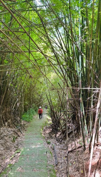 平溪步道縱走狗殷勤古道出故宮2852787