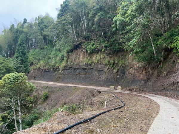 嵐山再古坑。五元兩角 木馬古道2806223