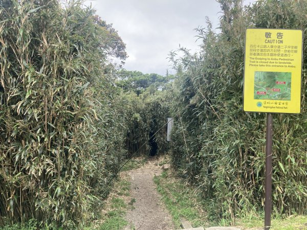 大屯山登山步道2472567