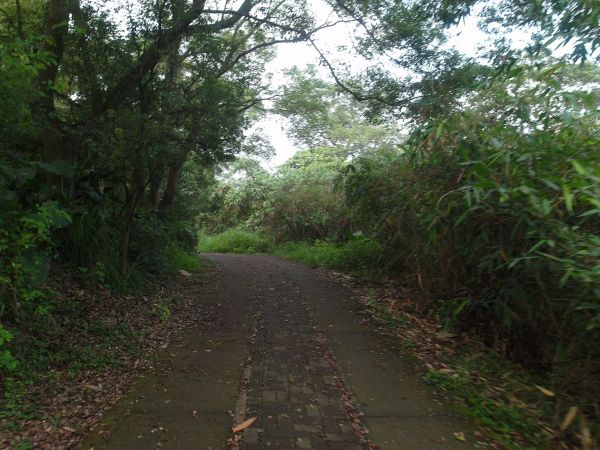 彰化社頭清水岩到田中鼓山寺之森林步道128054