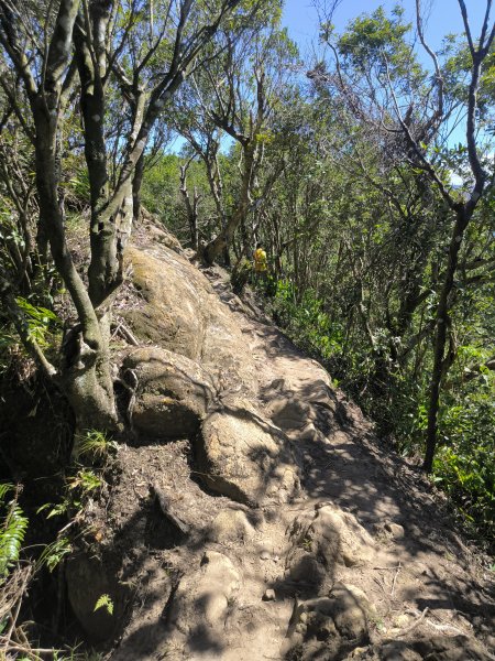 20251004微笑山線：【二格山系】筆架連峰段2904511