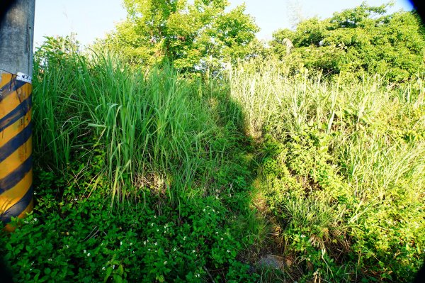 新竹 尖石 煤源山、比麟山、尖石山3071499