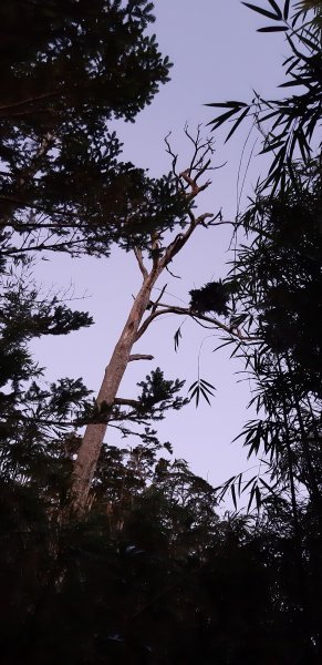 白姑大山之旅743534