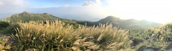 20180930 台北七星山與東峰547410