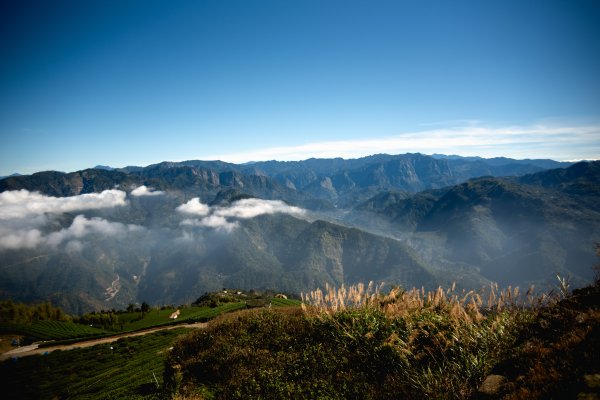 雲嘉七連峰 2025年12月2968912