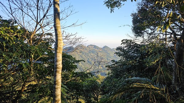 鵝公髻山 鵝公髻山東北峰 第一登山口上下入門路線2395273