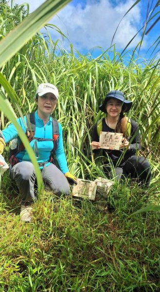 夏季的黃金十稜接九稜下門牙稜C型(草長路荒慎行)2880689