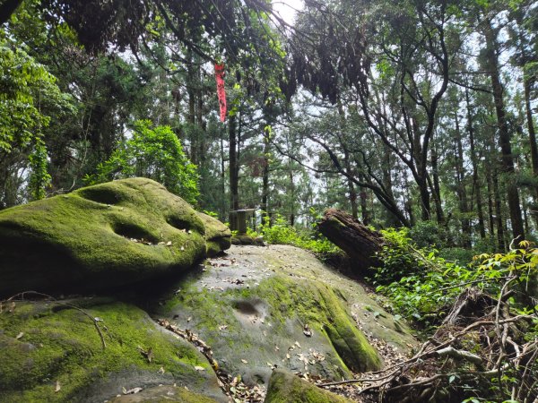 二萬坪山、二萬坪森林步道3055591