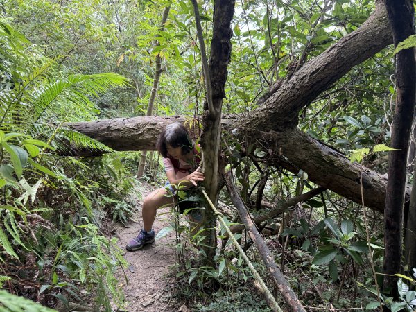 劍潭山+老地方202507192863868