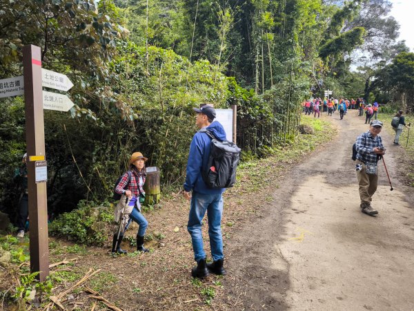 2026-01-25 龍潭小粗坑古道上石門山2994125