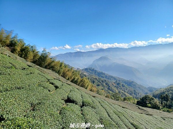 【嘉義梅山】悠閒踏青趣。 雲嘉大尖山、二尖山步道2447266