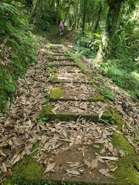 微笑山線：【五分山系】平溪小黃山段2839519