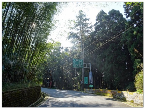奮起湖大凍山(小百岳)1614091