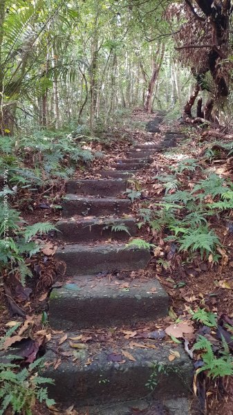 《苗栗》關刀出關｜三義關刀山出關古道(聖關段-苗56)202509052878784