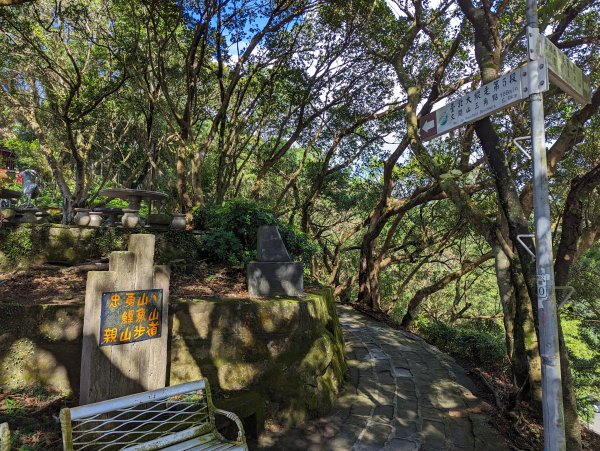 2023-09-28 臺北大縱走第五段2792895