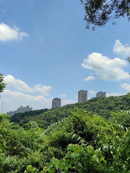 二趴子植物園2218636