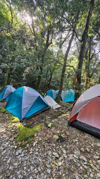 20251106北大武山步道☁️ 喜多麗雲海2931389