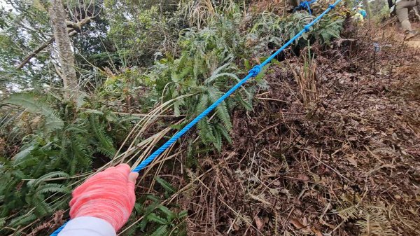 20260127三通嶺山.三義山(大桁茂山).慈濟山.大坪山大O走2989971