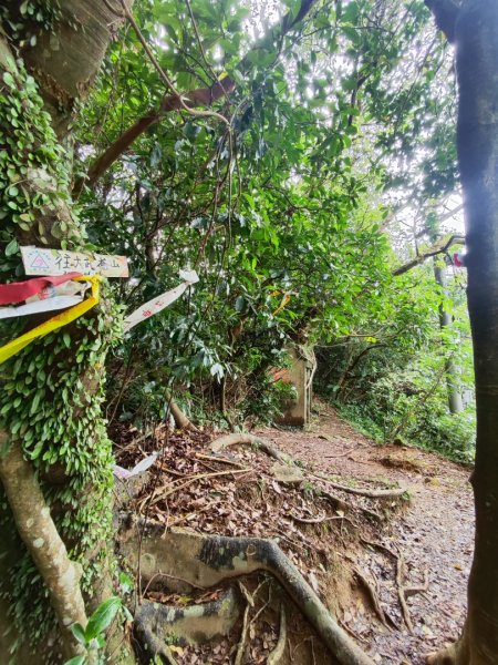 基隆情人湖老鷹岩大武崙-槓子寮2782593