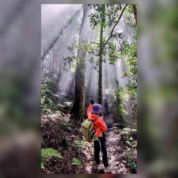 20250209 觀雪縱走2712930