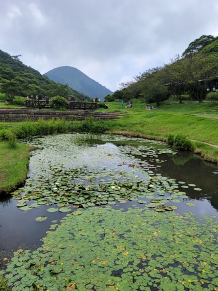 頂湖-頂湖山-小屯山-大屯山南峰-大屯坪-二子坪-202408112601428