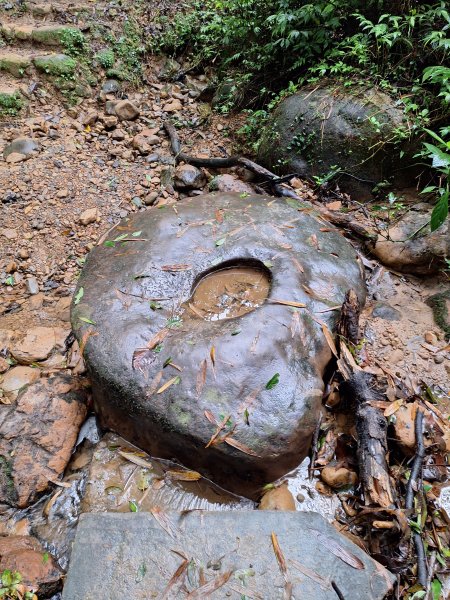 微笑山線：【五分山系】望古瀑布段+平溪小黃山段+慈恩嶺2932587