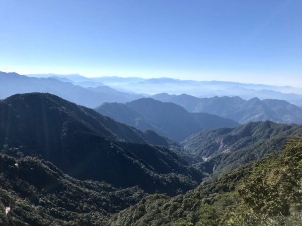 秋日末的鳶嘴稍來787648