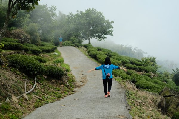 【雲林-嘉義】挑筍古道，車心崙步道897766
