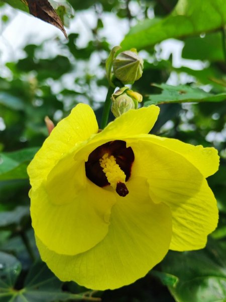 福隆舊草嶺環狀線單車行2818082