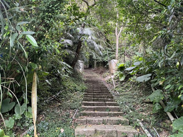 [微笑山線_ 第十段] 2025_0914 五分山系_菁桐煤礦段2889838