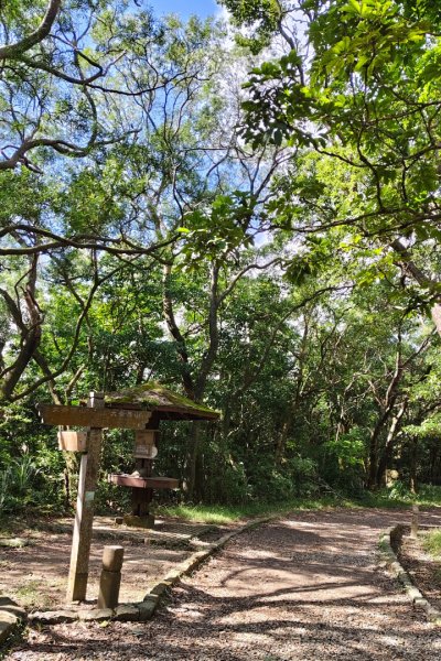 大崙頭尾山2992004