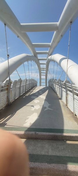 永安海螺文化館2855912