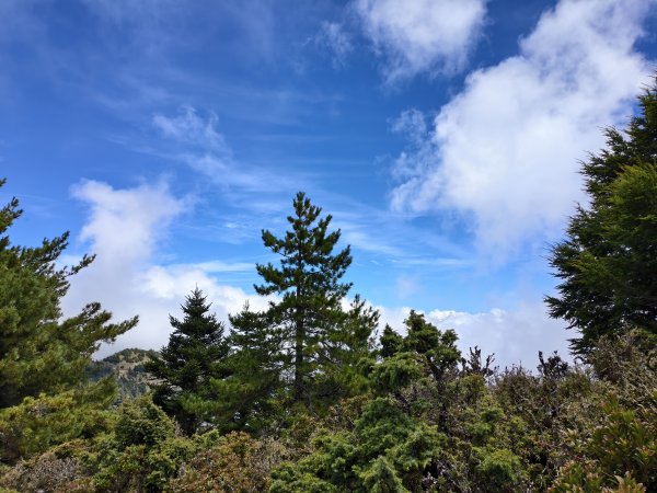 北一段(10/14)馬比杉山 2025_0906~132887135