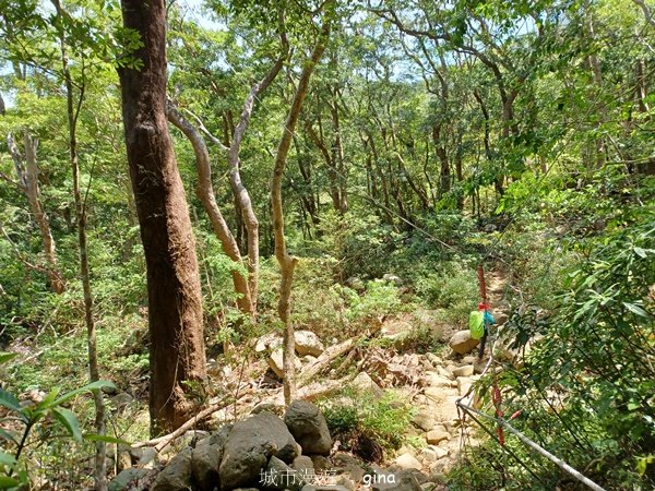 【屏東獅子鄉】海天一色。 台灣百大必訪步道~里龍山自然步道2550787