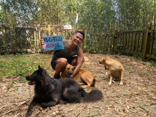 三寶山(烏心石山.鳩州嶺.尖凍山)步道【變成夢魘的大秘寶】2639872