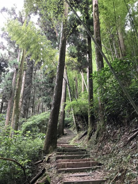 109年7月12日嘉義大凍山1040208