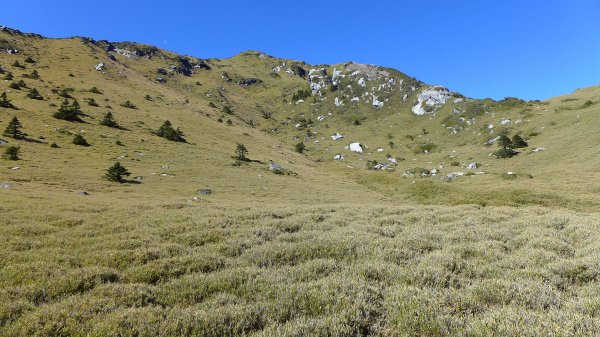 大好天氣的奇萊東稜488931