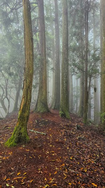 112.04.08 油羅山2123584