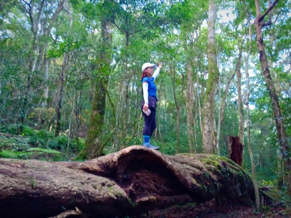 20211016_高島縱走1490479