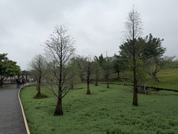 [樟之細路_第一大段RSA01] 2026_0329 三坑自然生態公園3026793
