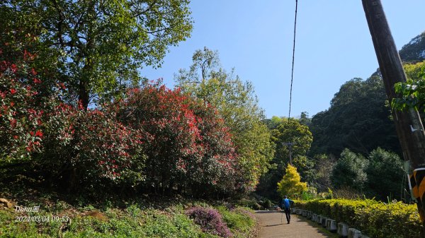 桃園復興金牌縱走O型(金平山.金平山南峰.牌子山)2446633