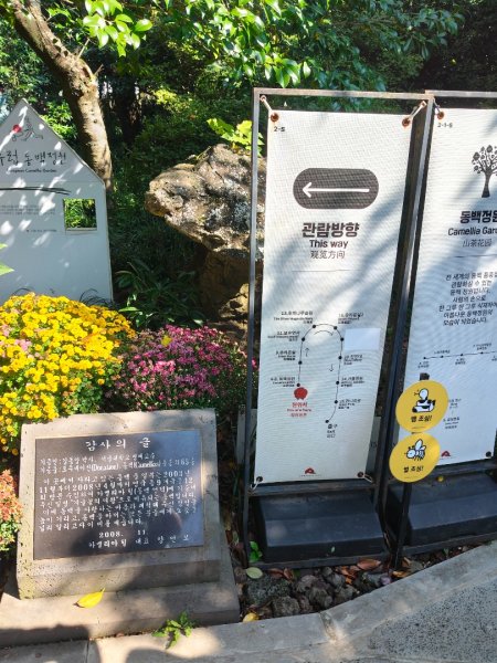 韓國濟州島：山茶花之丘2912450