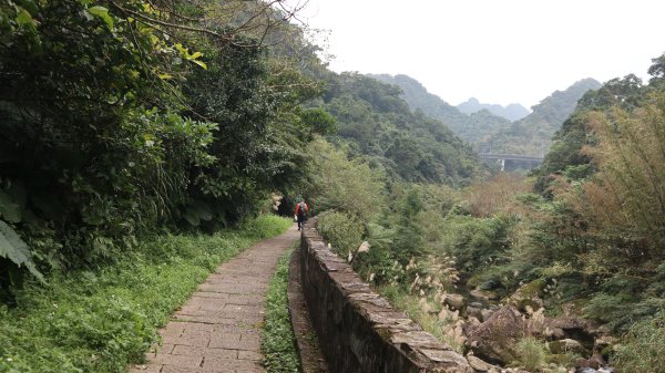 獵貍尖步道連走烏塗溪步道登山健行趣(淡蘭南路TK3-6&TK3-5&TK3-4)2404543