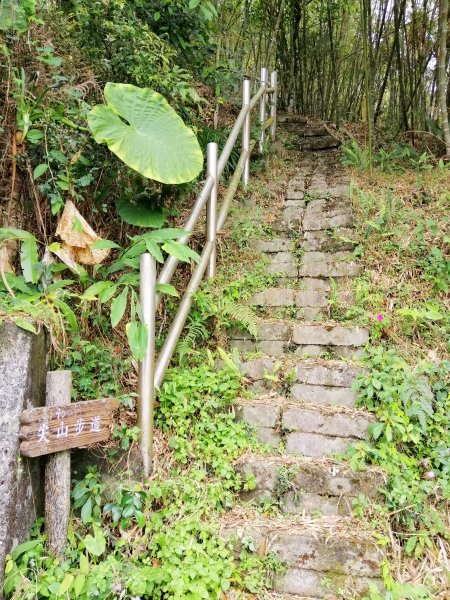 荒草漫漫。 #61小百岳~大湖尖山步道936893