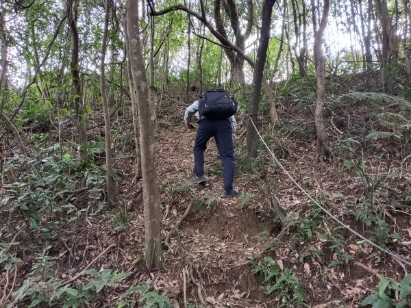 基隆市三層山+湳子大崙+淡基橫斷古道+面桶寮土地公2982245