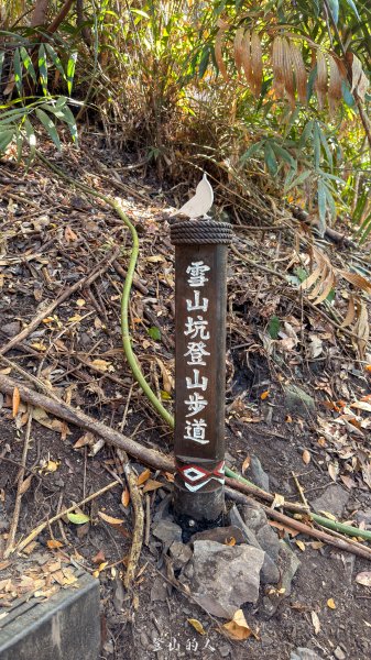 雪山坑環線步道2988745