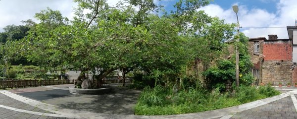 雙溪區雙柑公路-柑腳城單車遊2923460