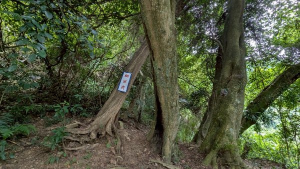 114.08.09溪洲山-新溪洲山之旅2856791