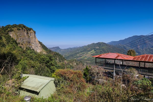 [苗栗]馬那邦山2355210